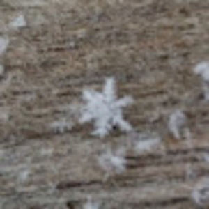 Meet your Posher, Clair